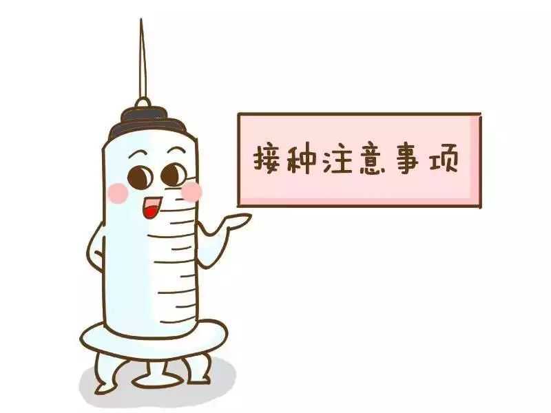 夏季猪场打疫苗的注意事项 宝宝打疫苗忌口