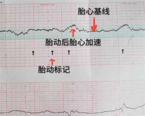 厦门三代试管机构：专业服务助您圆梦家庭