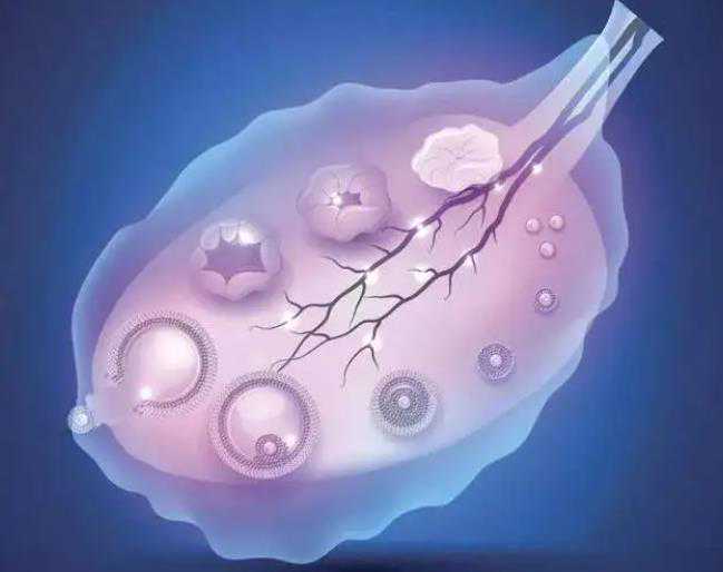西京医院三代试管服务：深度解析成功率与实施流程