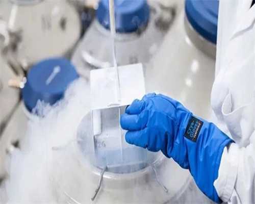 三代试管选男孩的准确性探析：现实考量与未来影响