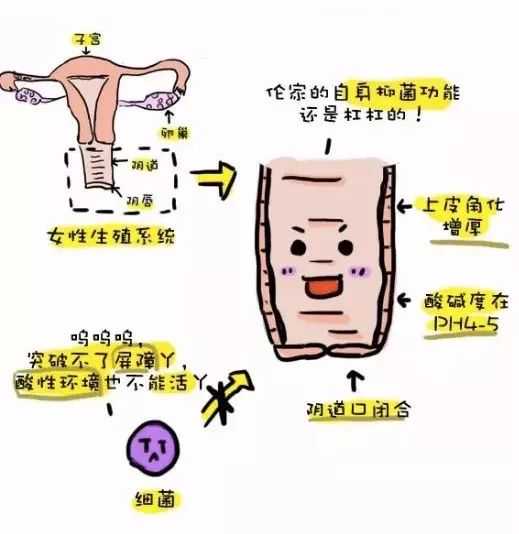 冬季女性经期保健知识 经期能打新冠疫苗吗第三针