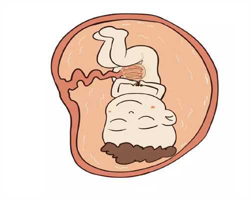 三代选性别合法吗？法律与伦理的深度探讨
