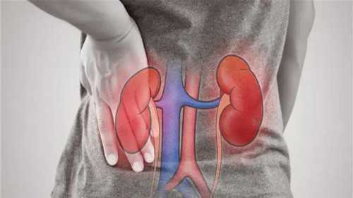 试管三代中的胎停经历：剖析四次胎停的根源与应对措施