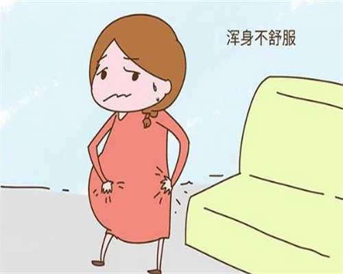 西京医院供卵试管详解：费用流程与服务指南