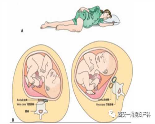上海供卵试管费用明细：2025年价格指南