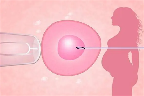 三代试管淘汰的胚胎如何处理？三代试管如何选择胚胎是否淘汰