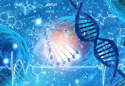 解放军第七医学中心三代试管费用指南！分享同院姐妹做三代试管的价格