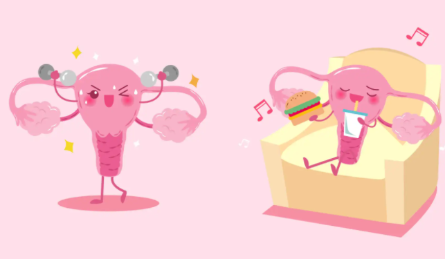 试管移植5cc囊胚的成功率高不高？移植5cc囊胚如何提高着床率