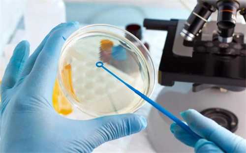 什么是试管短效长方案？解读试管短效长方案的优劣势