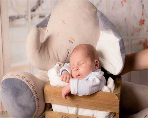 女性备孕期间如何调养肠胃健康